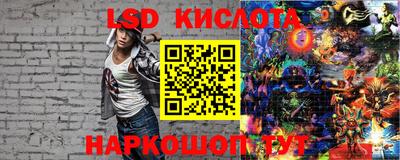 шишки Бердск