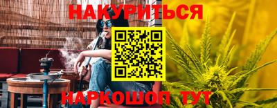 шишки Бердск