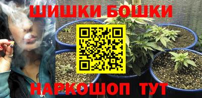 шишки Бердск