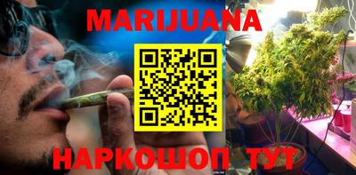 шишки Бердск