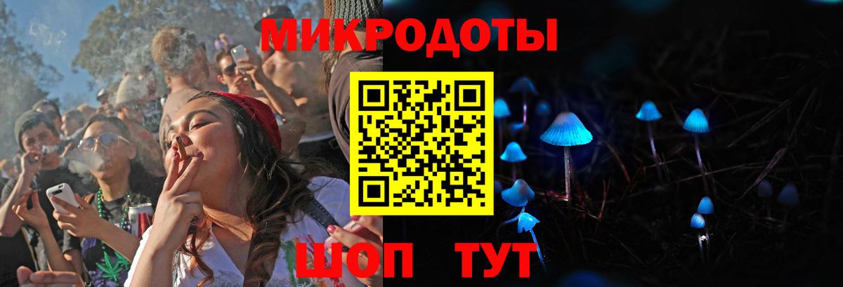 Псилоцибиновые грибы Cubensis Губкин
