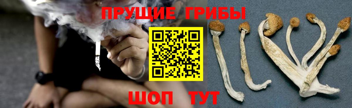 Галлюциногенные грибы Psilocybine cubensis  Вход с VPN  продажа наркотиков  Губкин 